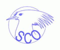 Societe Caledonienne d Ornithologie logo